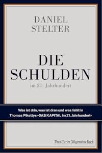 Die Schulden im 21. Jahrhundert - Daniel Stelter - ebook