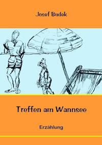 Treffen am Wannsee - Josef Budek - ebook