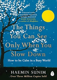 The Things You Can See Only When You Slow Down - Sunim Haemin - książka