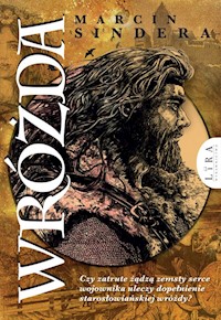 Wróżda - Sindera Marcin - książka