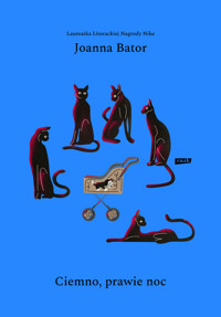 Ciemno, prawie noc - Joanna Bator - ebook