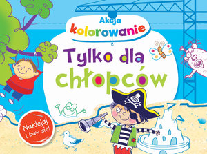 Akcja kolorowanie! Tylko dla chłopców. Naklejaj i baw się! - Wiśniewska Anna - książka