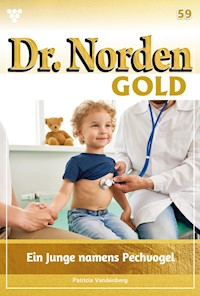 Ein Junge namens Pechvogel - Vandenberg Patricia - ebook