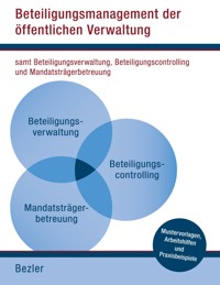 Beteiligungsmanagement der öffentlichen Verwaltung - Alfred Bezler - ebook