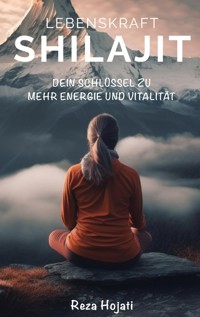 Lebenskraft Shilajit - Reza Hojati - ebook