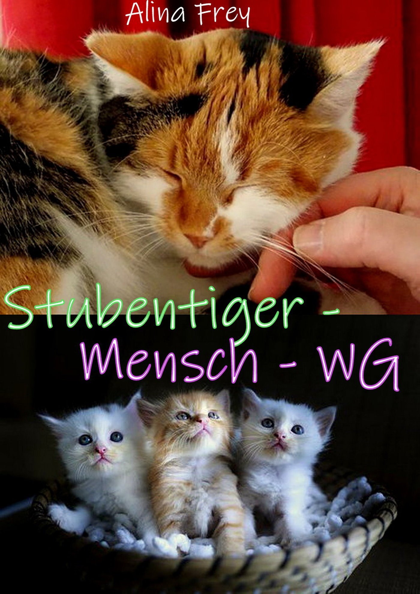 Stubentiger - Mensch - WG