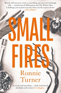 Small Fires - Ronnie Turner - ebook
