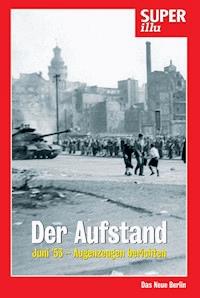 Der Aufstand - Hannes Hofmann - ebook