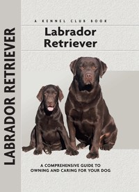 Labrador Retriever - Margaret A. Gilbert - ebook