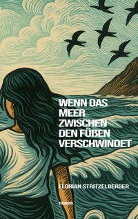 Wenn das Meer zwischen den Füßen verschwindet - Florian Stritzelberger - ebook