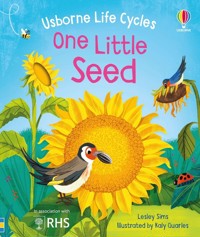 One Little Seed - Sims Lesley - książka