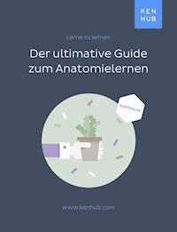 Der ultimative Guide zum Anatomie lernen -  - darmowy ebook