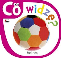 Co widzę Kolory - Kozera Piotr - książka
