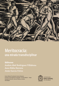 Meritocracia, una mirada transdisciplinar - Andrés Abel Rodríguez Villabona - ebook