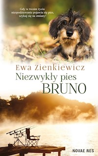 Niezwykły pies Bruno - Ewa Zienkiewicz - audiobook + książka
