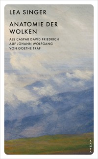 Anatomie der Wolken - Lea Singer - ebook