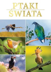 Ptaki świata - zbiorowa praca - książka