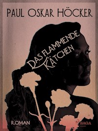 Das flammende Kätchen - Paul Oskar Höcker - ebook