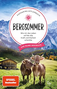 Bergsommer - Katharina Afflerbach - ebook