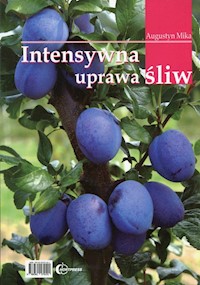 Intensywna uprawa śliw - - książka