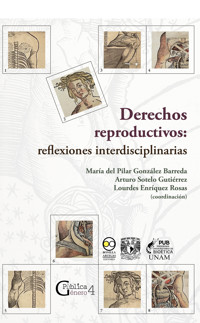 Derechos reproductivos: reflexiones interdisciplinarias -  - ebook