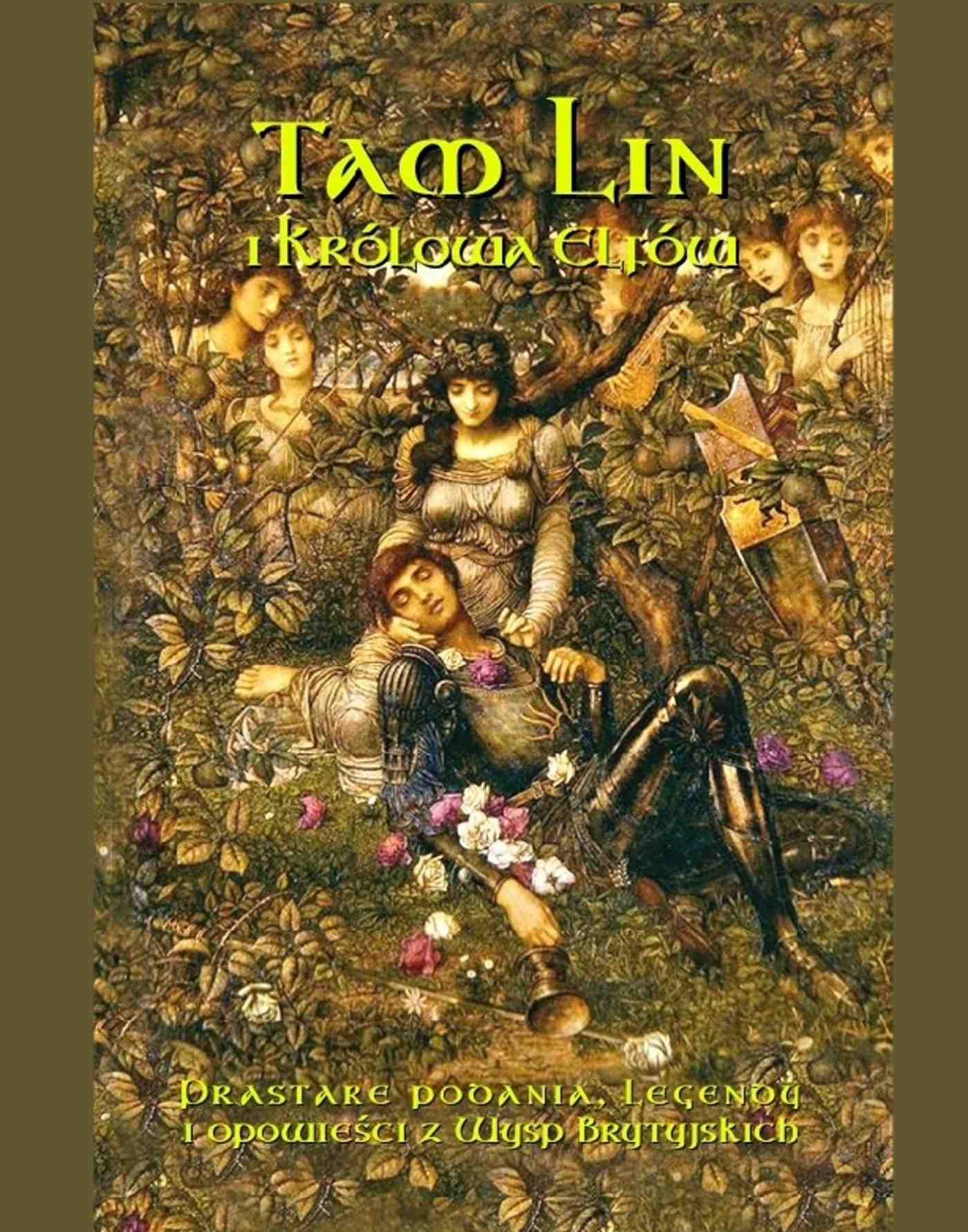 Okładka:Tam Lin i Królowa Elfów. Prastare podania, legendy i opowieści z wysp brytyjskich 