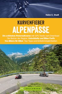 Kurvenfieber Alpenpässe: Motorradreiseführer für die Alpen - Heinz E. Studt - ebook
