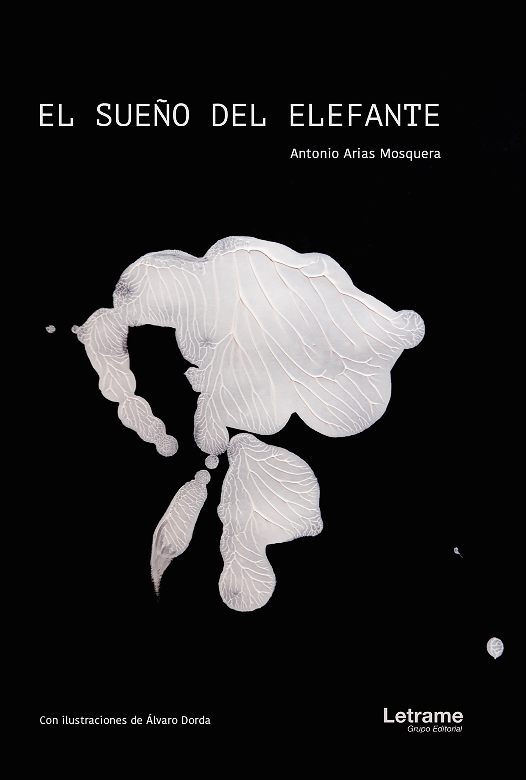 El sueño del elefante