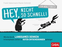 Hey, nicht so schnell! - Frank Habermann - ebook
