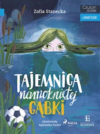 Tajemnica namokniętej gąbki - Zofia Stanecka - ebook