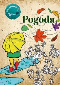 Pogoda. Kolorowanka - Katarzyna Kopiec-Sekieta - książka