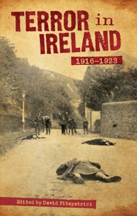 Terror In Ireland - David Fitzpatrick - ebook