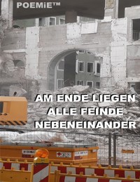 Am Ende liegen alle Feinde nebeneinander - Tom De Toys - ebook