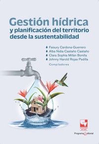 Gestión hídrica y planificación del territorio desde la sustentabilidad - Alba Nidia Castaño Castaño - ebook