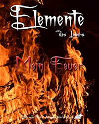 Elemente des Lebens - Karina Moebius - ebook