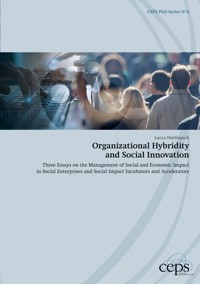 Organizational Hybridity and Social Innovation - Lucca Nietlispach - ebook