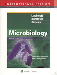 Lippincott Illustrated Reviews: Microbiology 4e - Nau Cornelissen Cynthia, Metzgar Hobbs Marcia - książka
