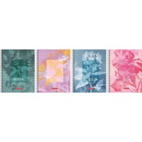 Kołozeszyt Herlitz Standard Blossom A5/80k kratka, 1 szt -  - książka