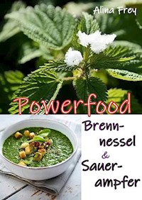 Powerfood - Alina Frey - ebook