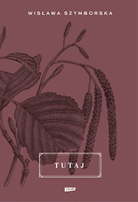 Tutaj - Grądziel-Wójcik Joanna - książka