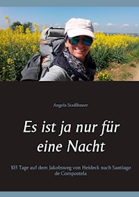 Es ist ja nur für eine Nacht - Angela Stadlbauer - ebook