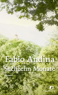 Sechzehn Monate - Fabio Andina - ebook