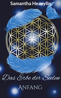 Das Erbe der Seelen - Samantha Heavylin - ebook