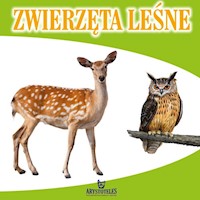 Zwierzęta leśne - Szewczyk Małgorzata - książka