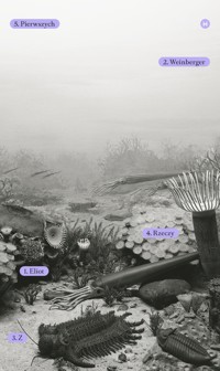 Z rzeczy pierwszych - Weinberger Eliot - ebook + książka