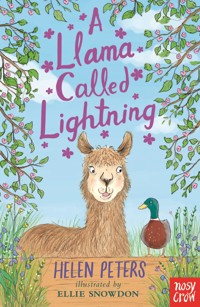 A Llama Called Lightning - Peters Helen, Helen Peters - ebook