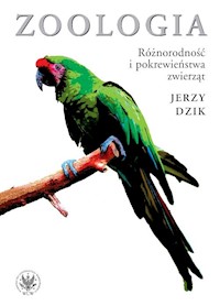 Zoologia. Różnorodność i pokrewieństwa zwierząt - Dzik Jerzy - książka