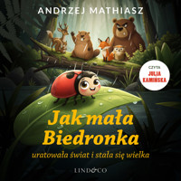 Jak mała Biedronka uratowała świat i stała się wielka - Andrzej Mathiasz - audiobook
