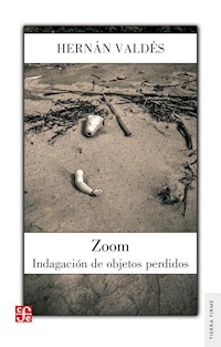 Zoom - Hernán Valdés - ebook