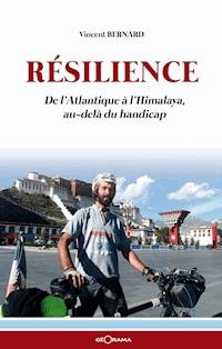 Résilience - Bernard Vincent - ebook